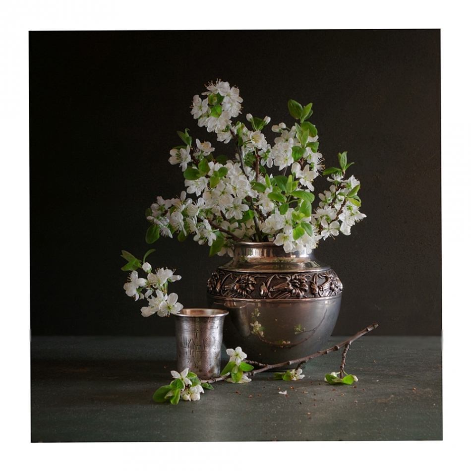 marcel - . . Zdjęcie 218512