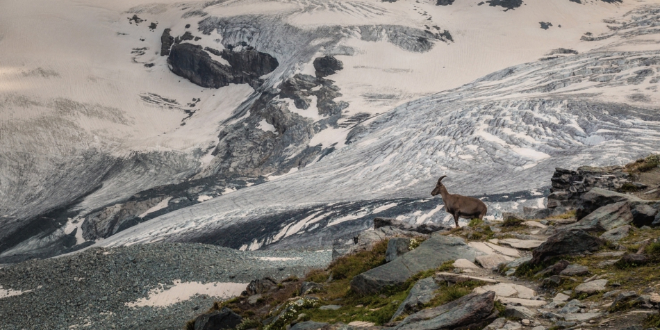 pak76 - \-/. . Zdjęcie 263842