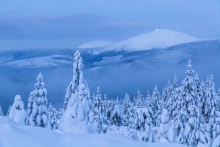 The Winter Kingdom