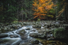The Autumn River Flows ...