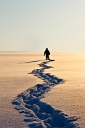 The Wayfaring Stranger ?