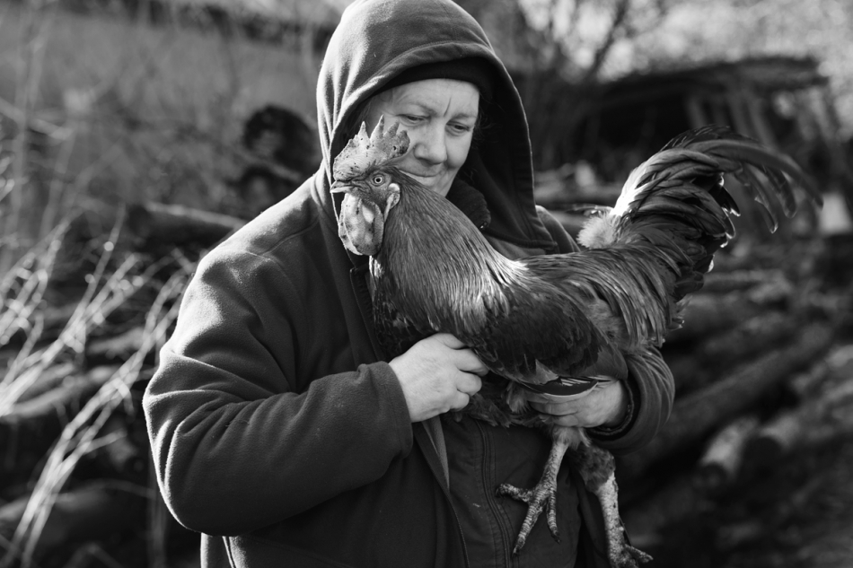 Brak tytułu. . Zdjęcie 261635