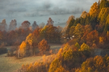 Autumn Deluxe...