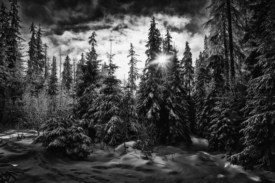 Zima. . Zdjęcie 339145