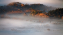In the Ocean of Mist