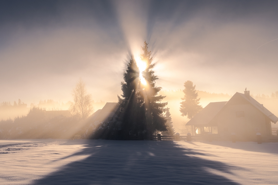 davealmine_ - Zimowy poranek. . Zdjęcie 330233