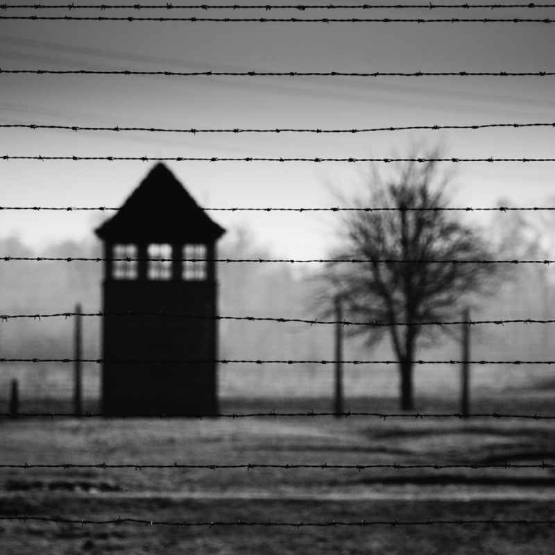 .... drzewo - wieża człowiek - nieczłowiek  Auschwitz-Birkenau. Zdjęcie 80978