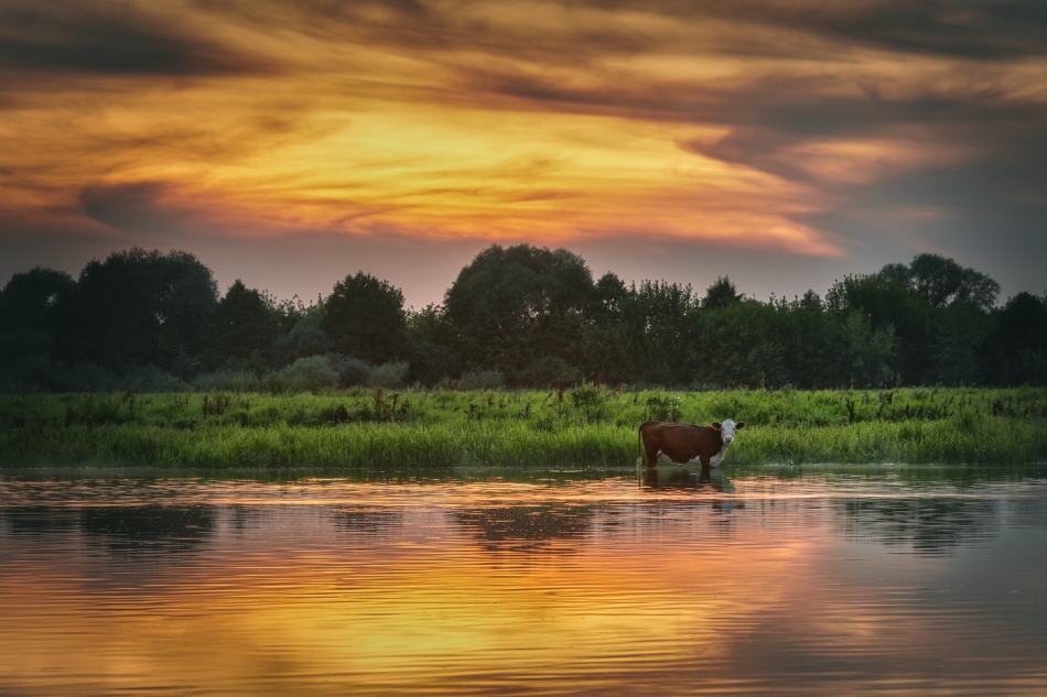 shooter76 - . . Zdjęcie 306589