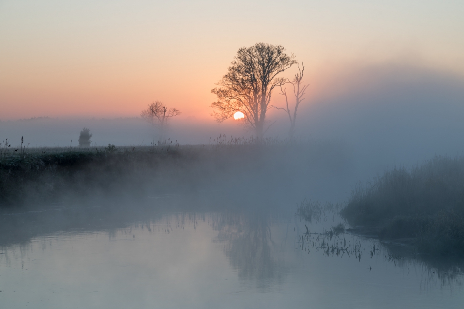 Brak tytułu. . Zdjęcie 266497