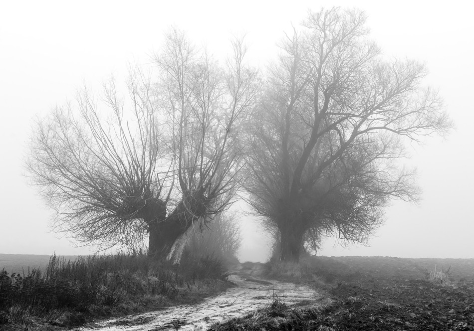 Zapomniany szlak . . Zdjęcie 339235