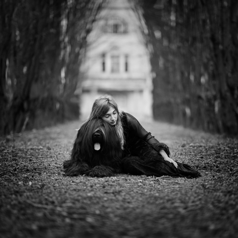 zanetafrenn - Harrys beautiful dream. . Zdjęcie 113319