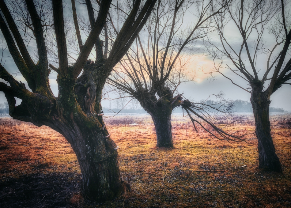 shooter76 - . . Zdjęcie 297659