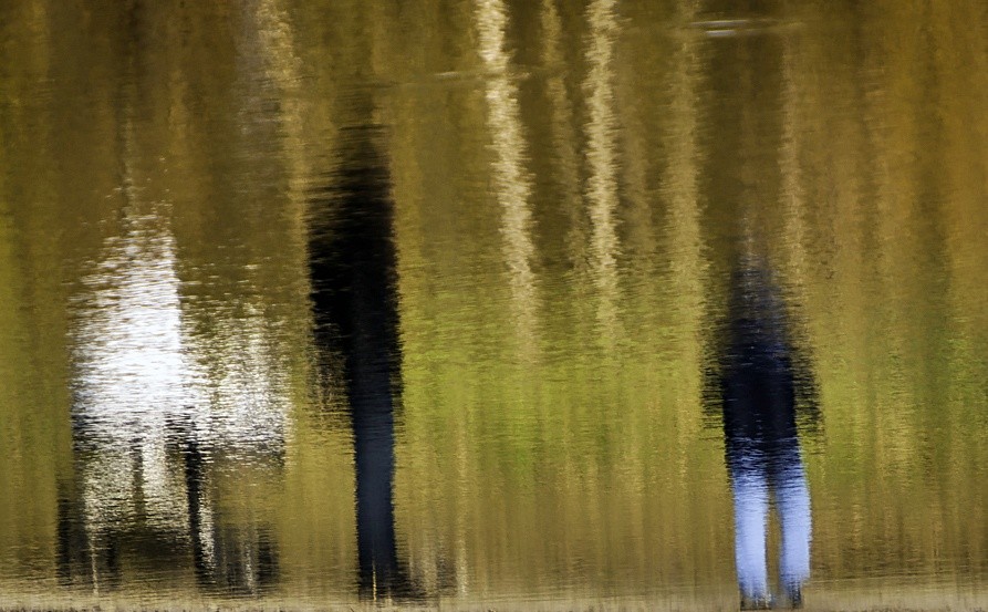 Nad stawem. . Zdjęcie 339303