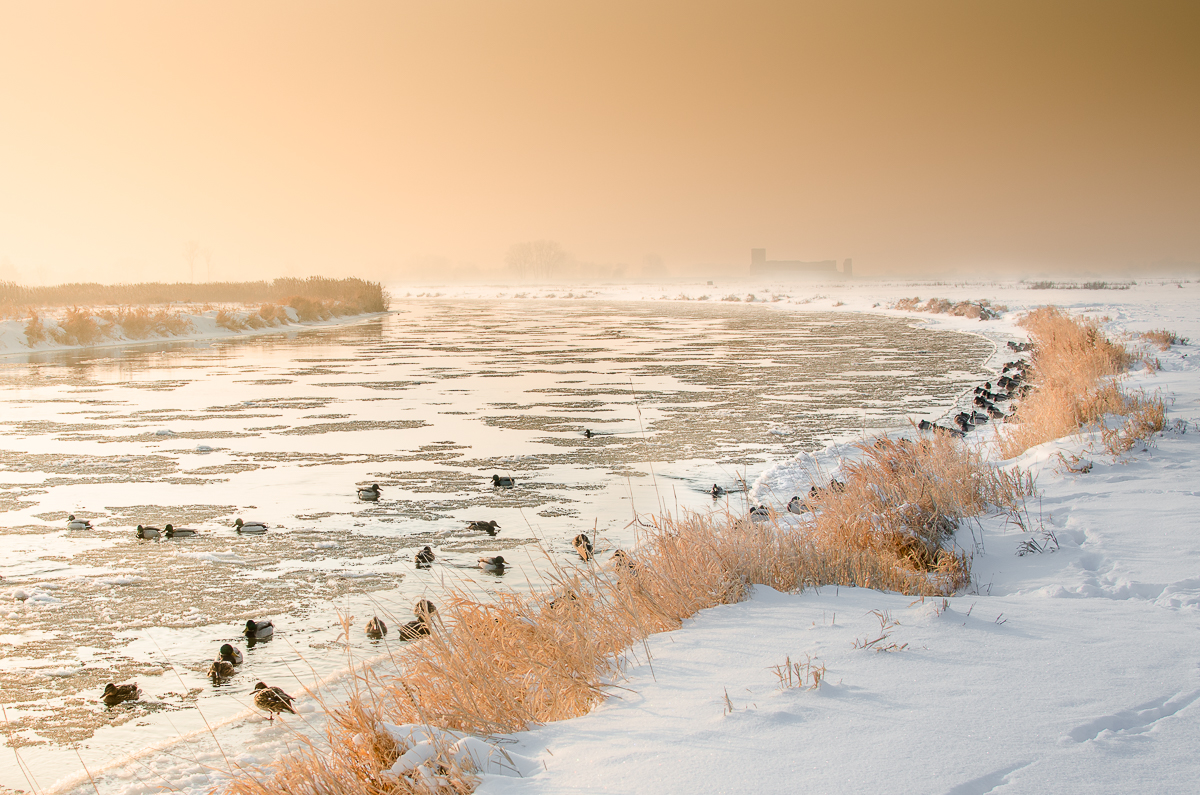 Do usunięcia z galerii