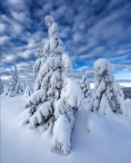 Winter...