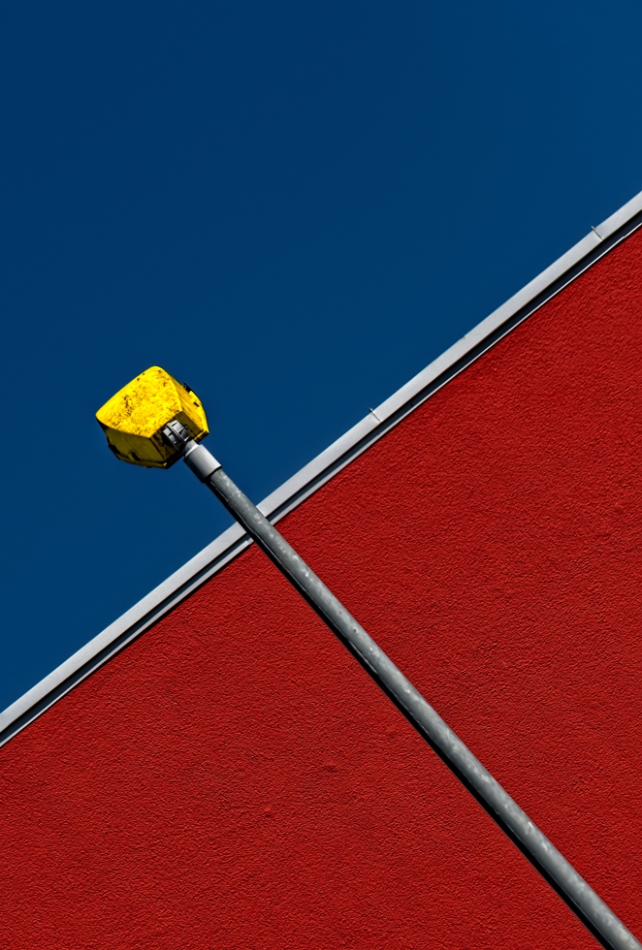 tomush - ciekawska... . Zdjęcie 270042