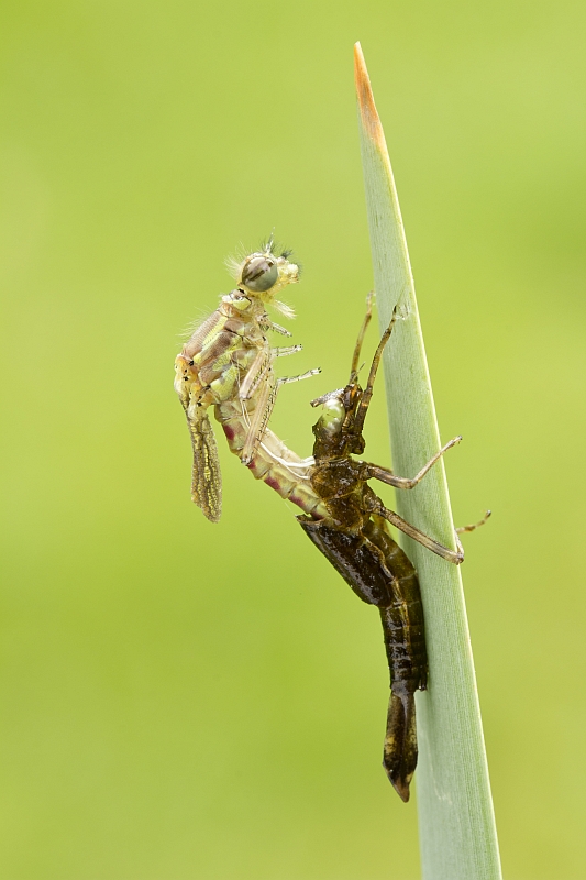 grzegorz - . . Zdjęcie 143973