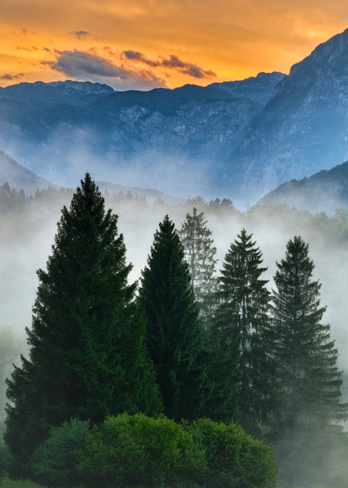 Evening fog. . Zdjęcie 336815