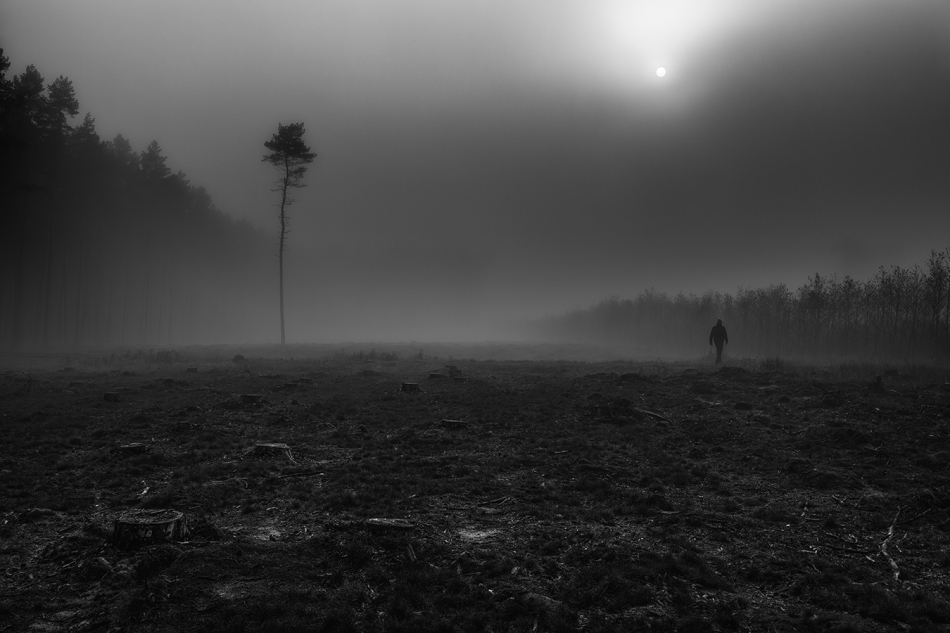 akrims - . . Zdjęcie 320975