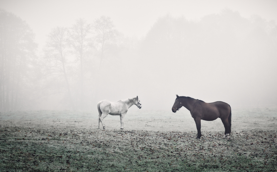 shooter76 - . . Zdjęcie 279106