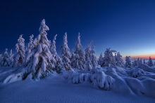 A Winter's Tale.....