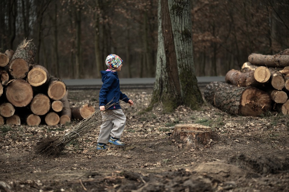 sukcesja. . Zdjęcie 339775