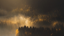When the Light Comes Up
