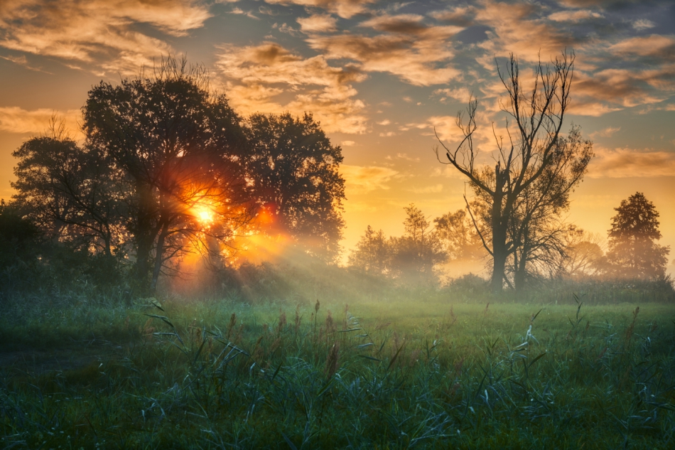 shooter76 - . . Zdjęcie 307469