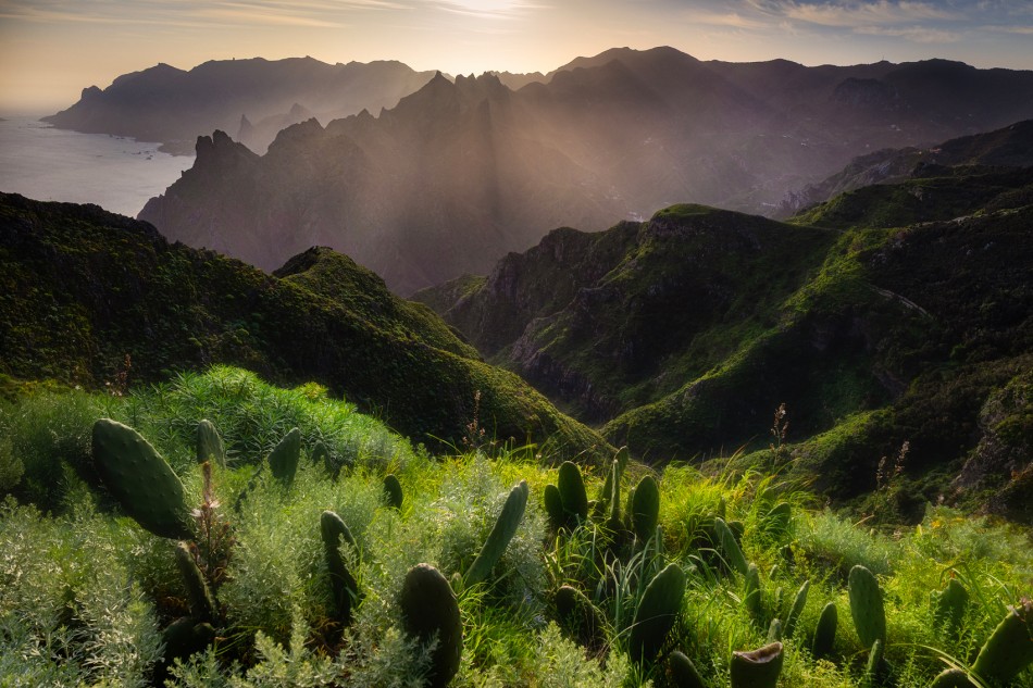 Anaga. . Zdjęcie 339478