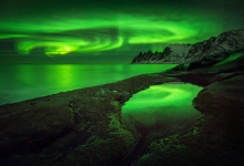 Tungeneset