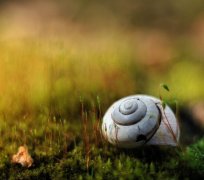 Wyjście awaryjne....