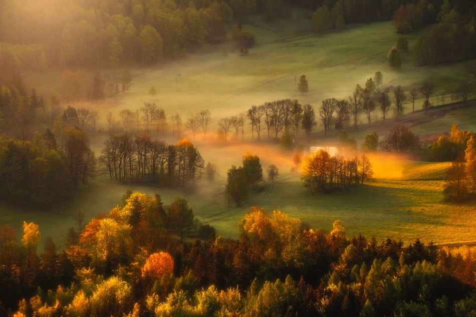 bonnieandclyde - Looking for light. A golden light.... . Zdjęcie 336614