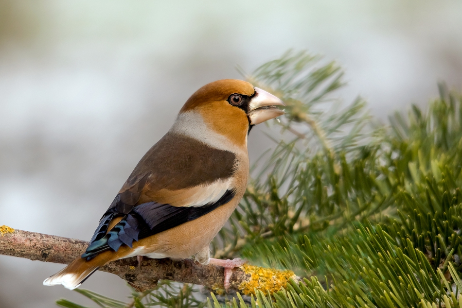 roman53 - . . Zdjęcie 289749