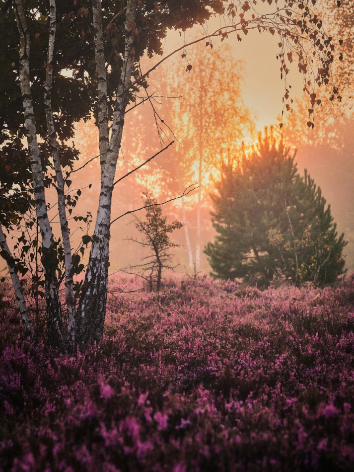 shooter76 - . . Zdjęcie 303625