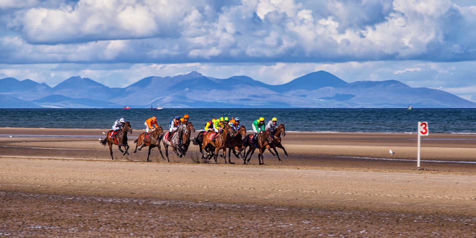 Wyścig nr 3. 3ci furlong    (ok 600m). Zdjęcie 229092