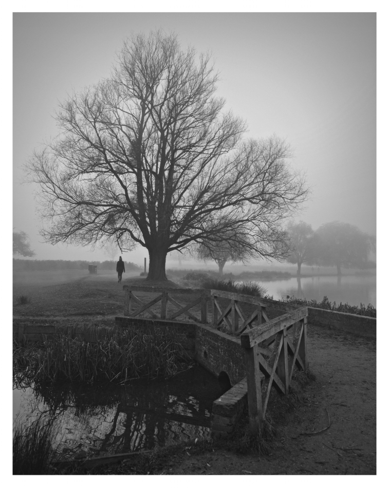 A Farewell to Kings.... . Zdjęcie 302823