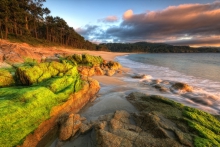 Ferrol