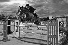 CSIO II