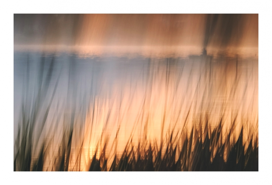Morning Colors. . Zdjęcie 335305