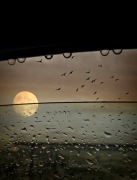 Rainy evening