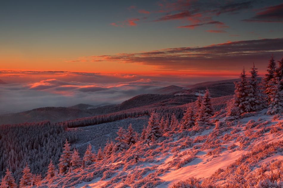 First Breath of the Sun. . Zdjęcie 139521