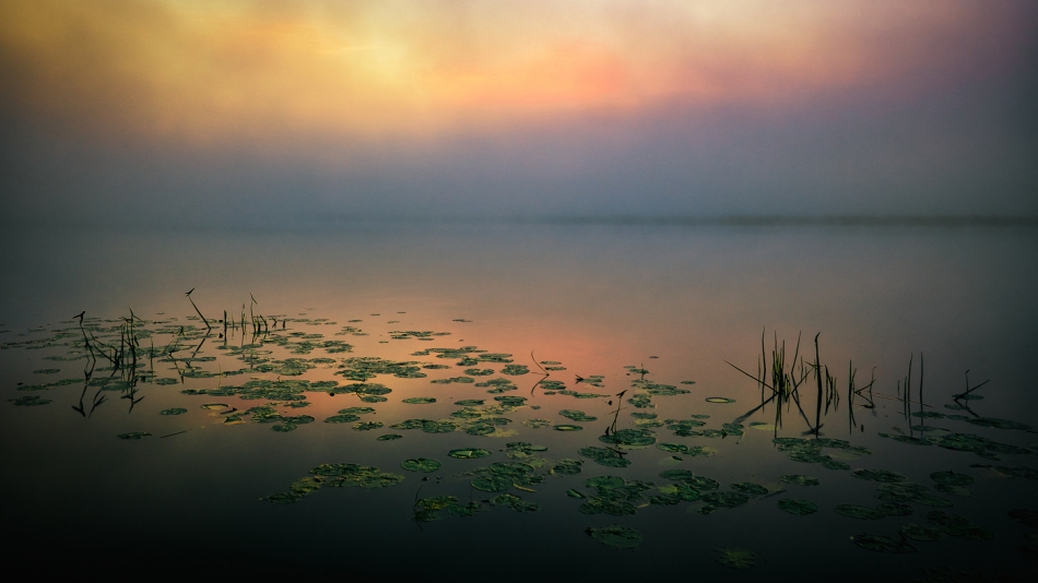 shooter76 - . PE. Zdjęcie 292126