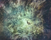 ...fairy tale