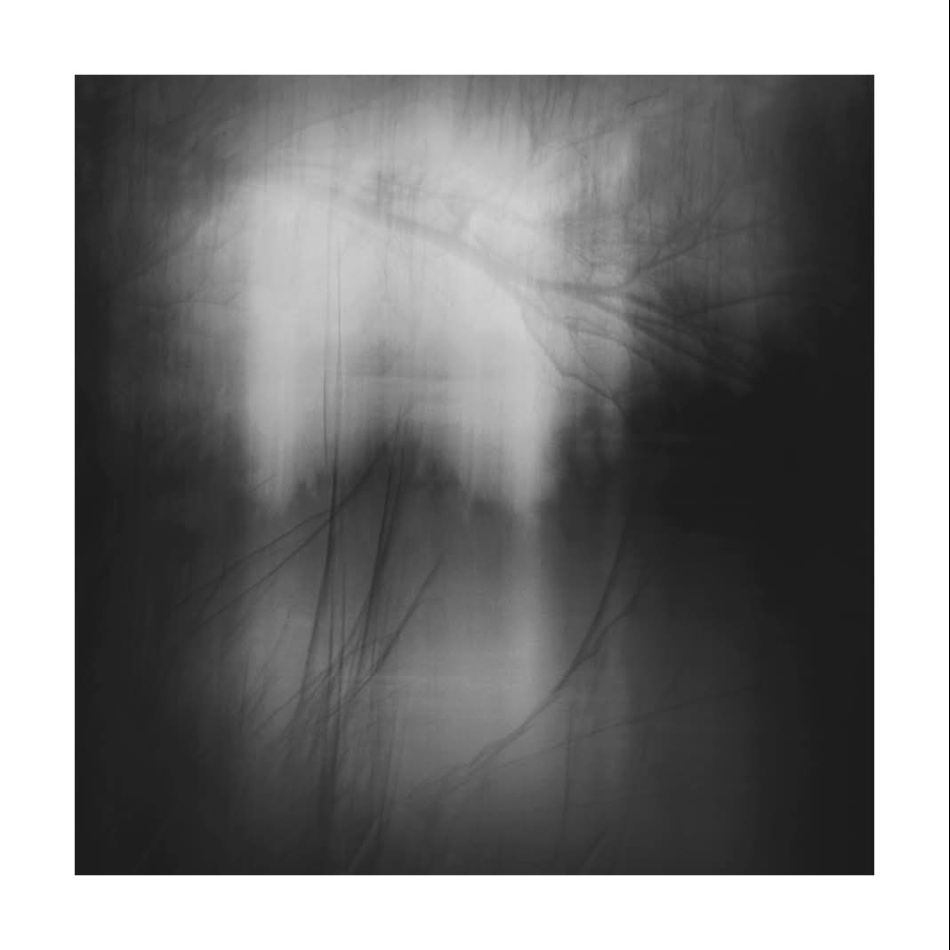 *. . Zdjęcie 337064