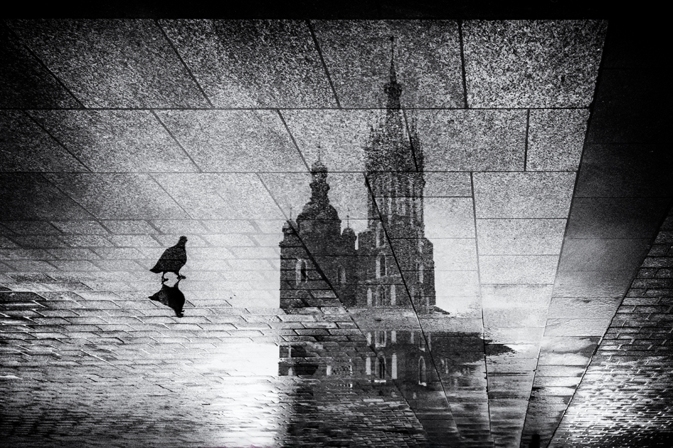 akrims - . . Zdjęcie 319334