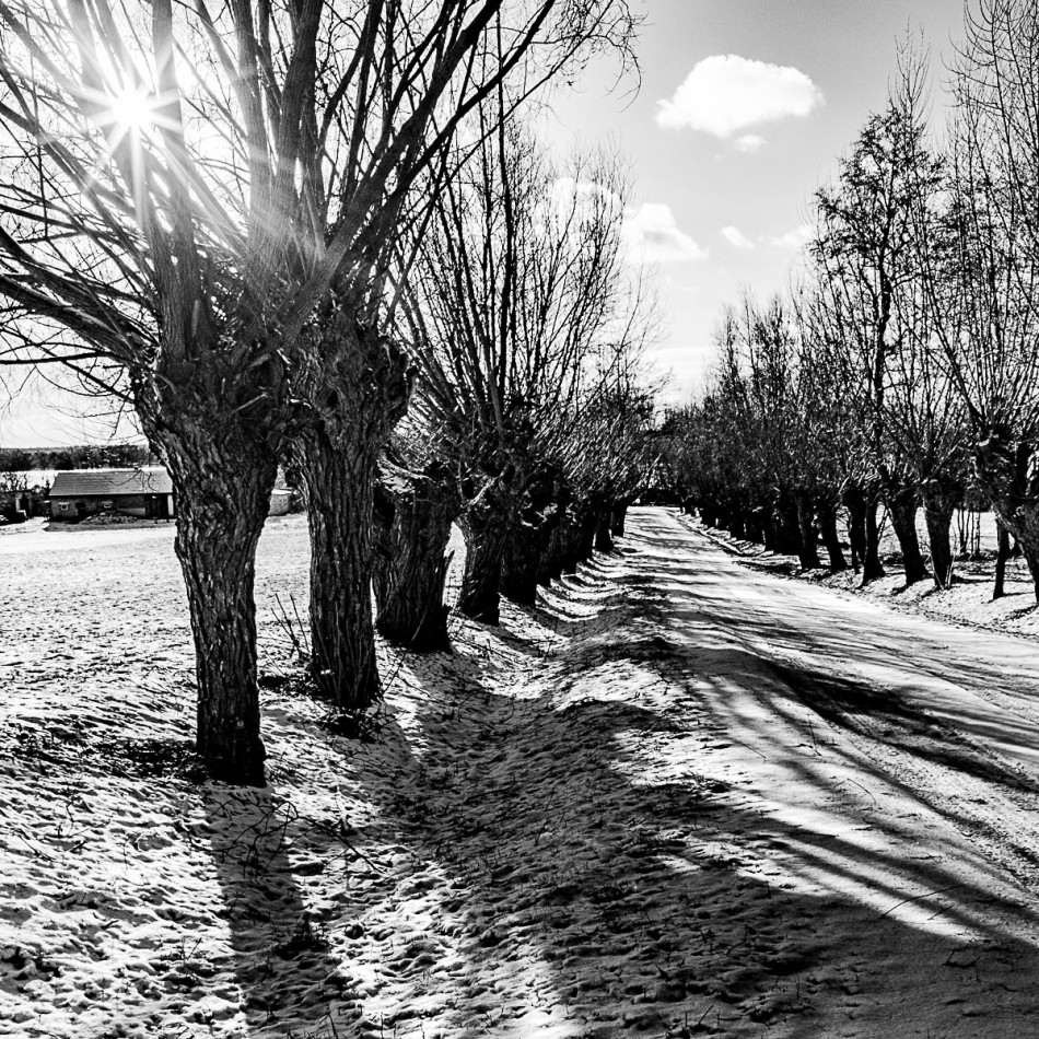 -. -. Zdjęcie 338657