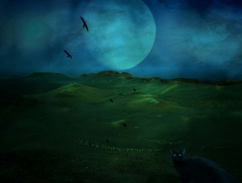 Great Expectations.... . Zdjęcie 303277