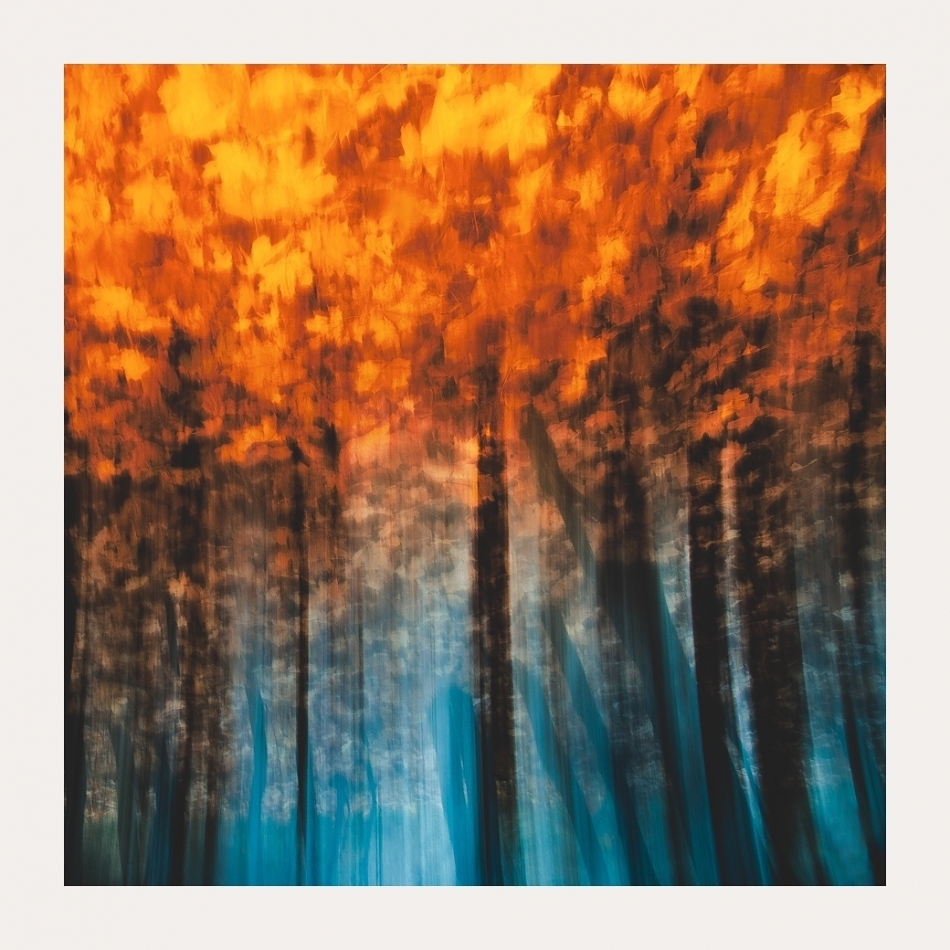 puszek - . . Zdjęcie 327959