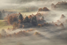 The Poetry of Light ...