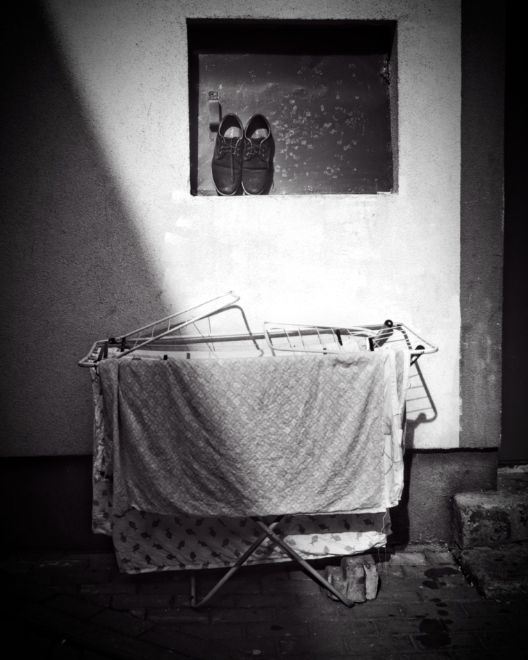 -. -. Zdjęcie 339793